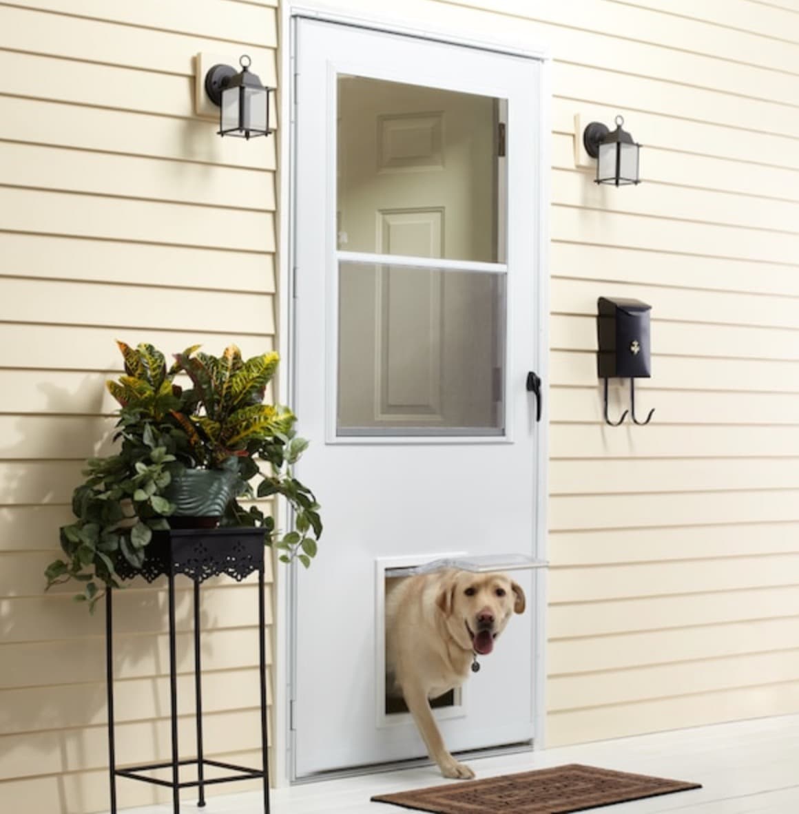 Everything You Need to Know About Andersen Retractable Screen Doors